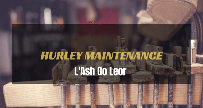 Read more about the article Hurley Care And Maintenance